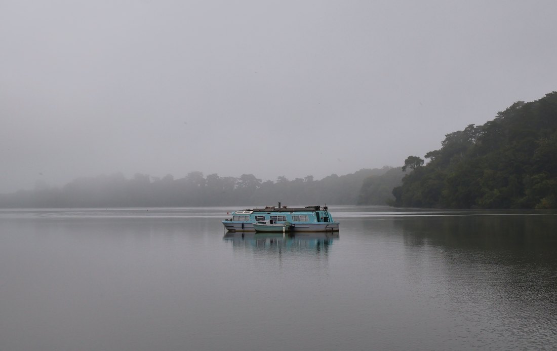 Brume, photographie 1