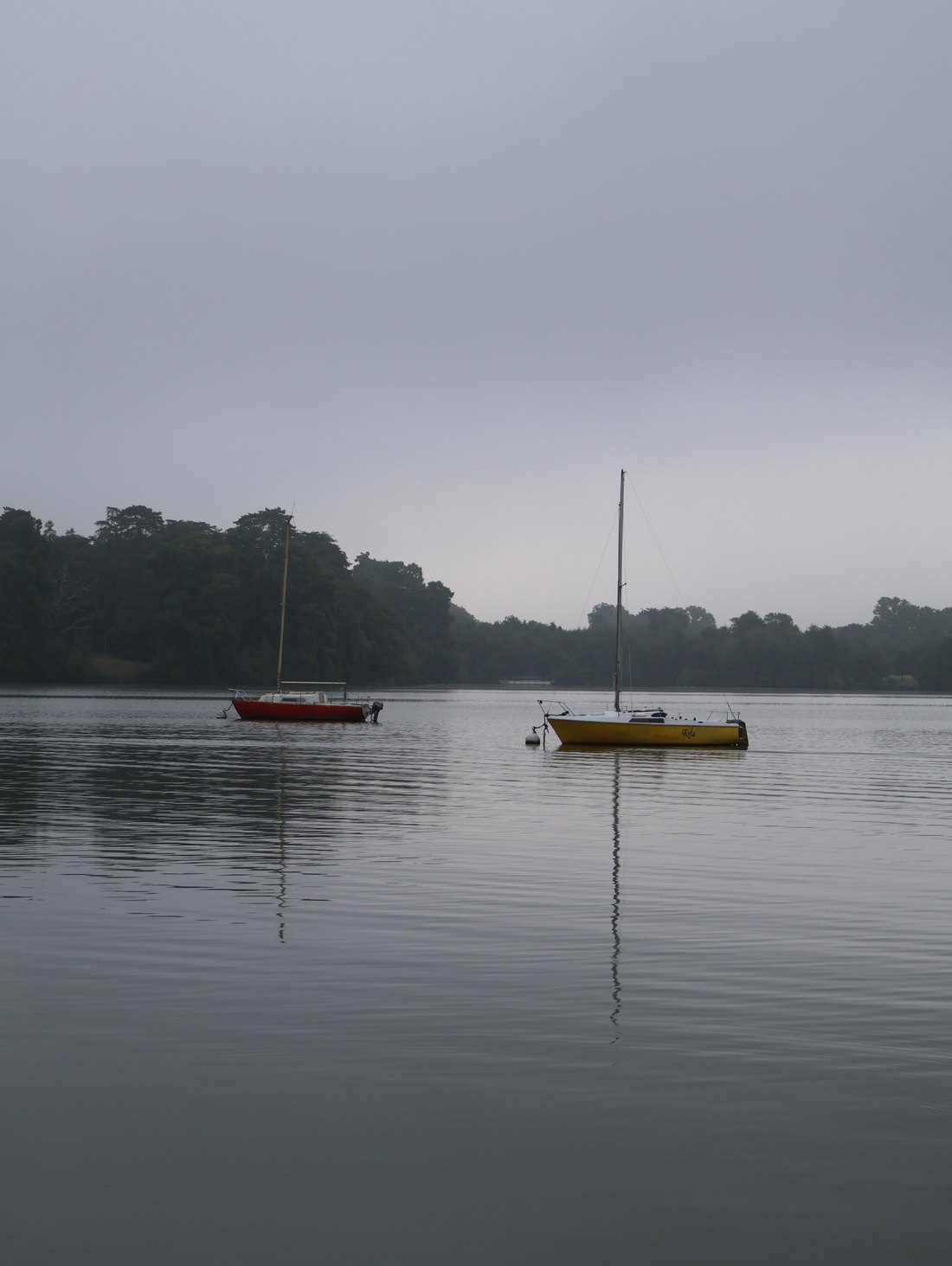 Brume, photographie 2