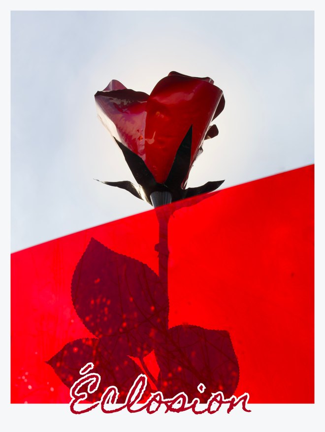 Éclosion, couverture de la collection