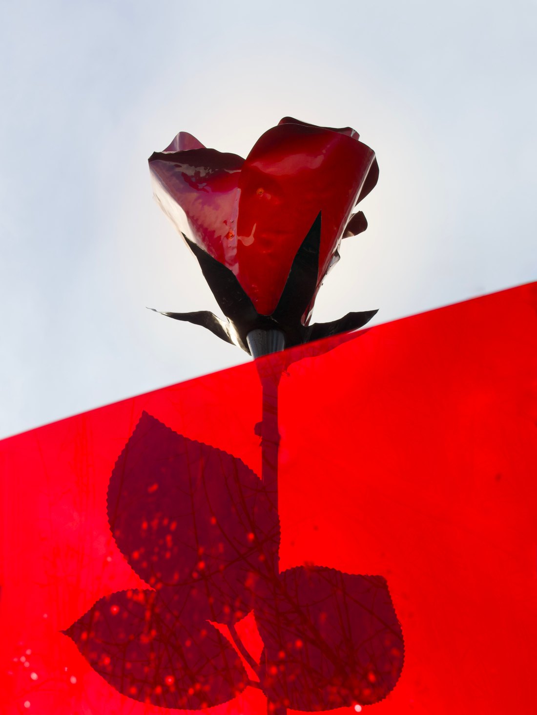 Éclosion, photographie 1
