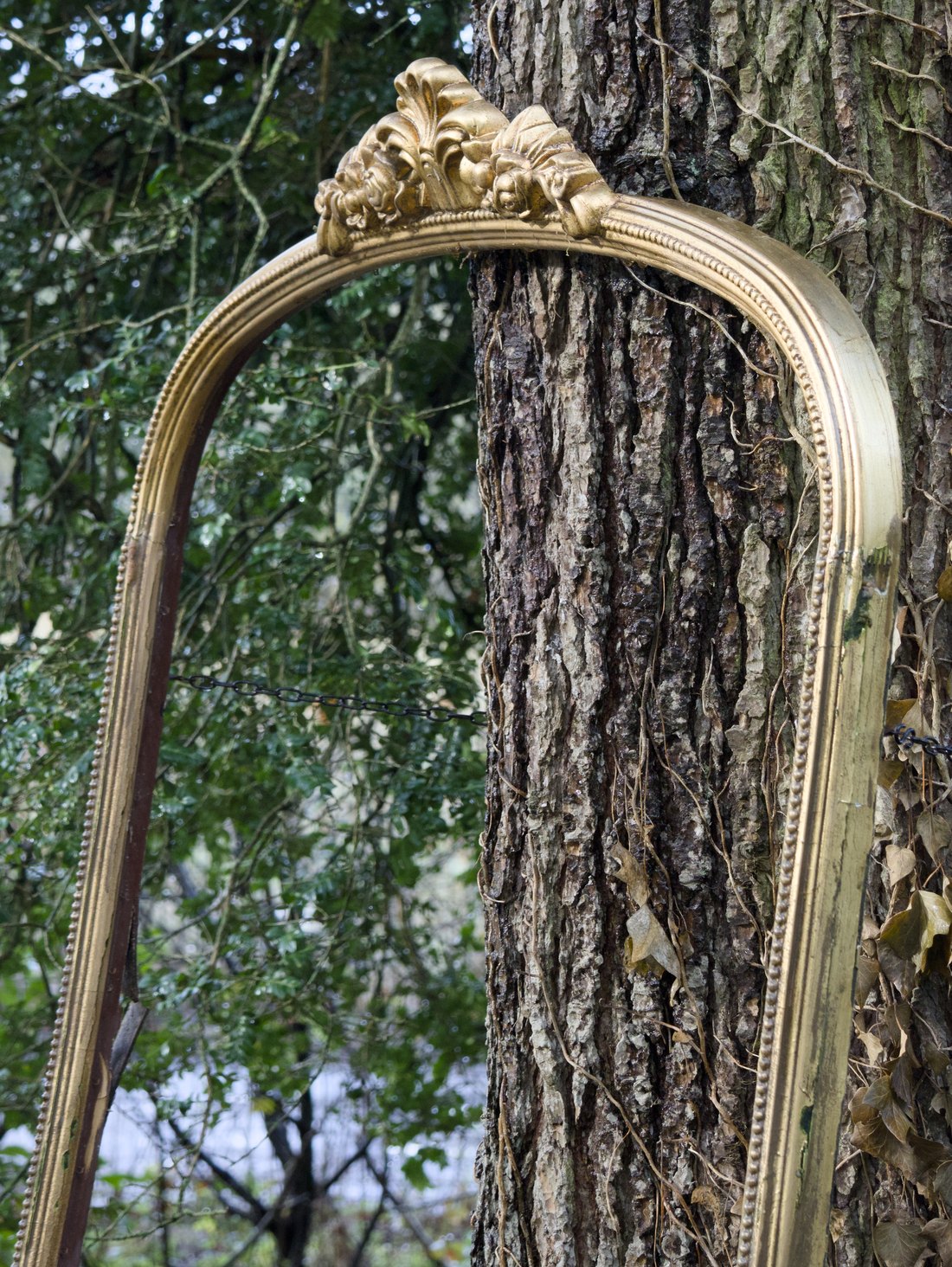 Éclosion, photographie 2