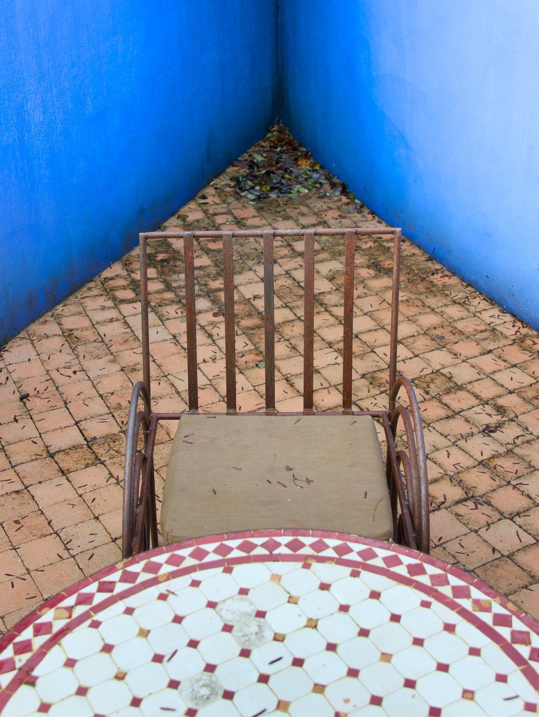 Éclosion, photographie 3