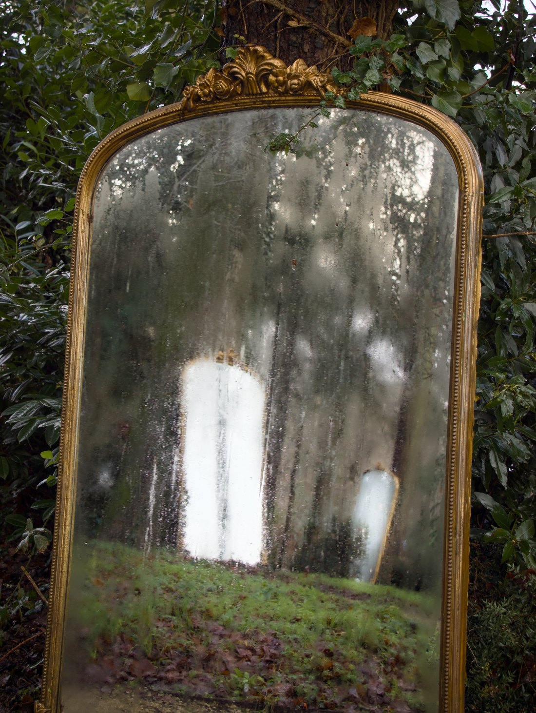 Éclosion, photographie 6