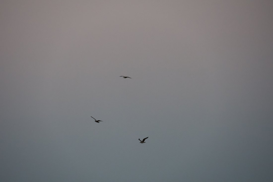 Réveil, photographie 2