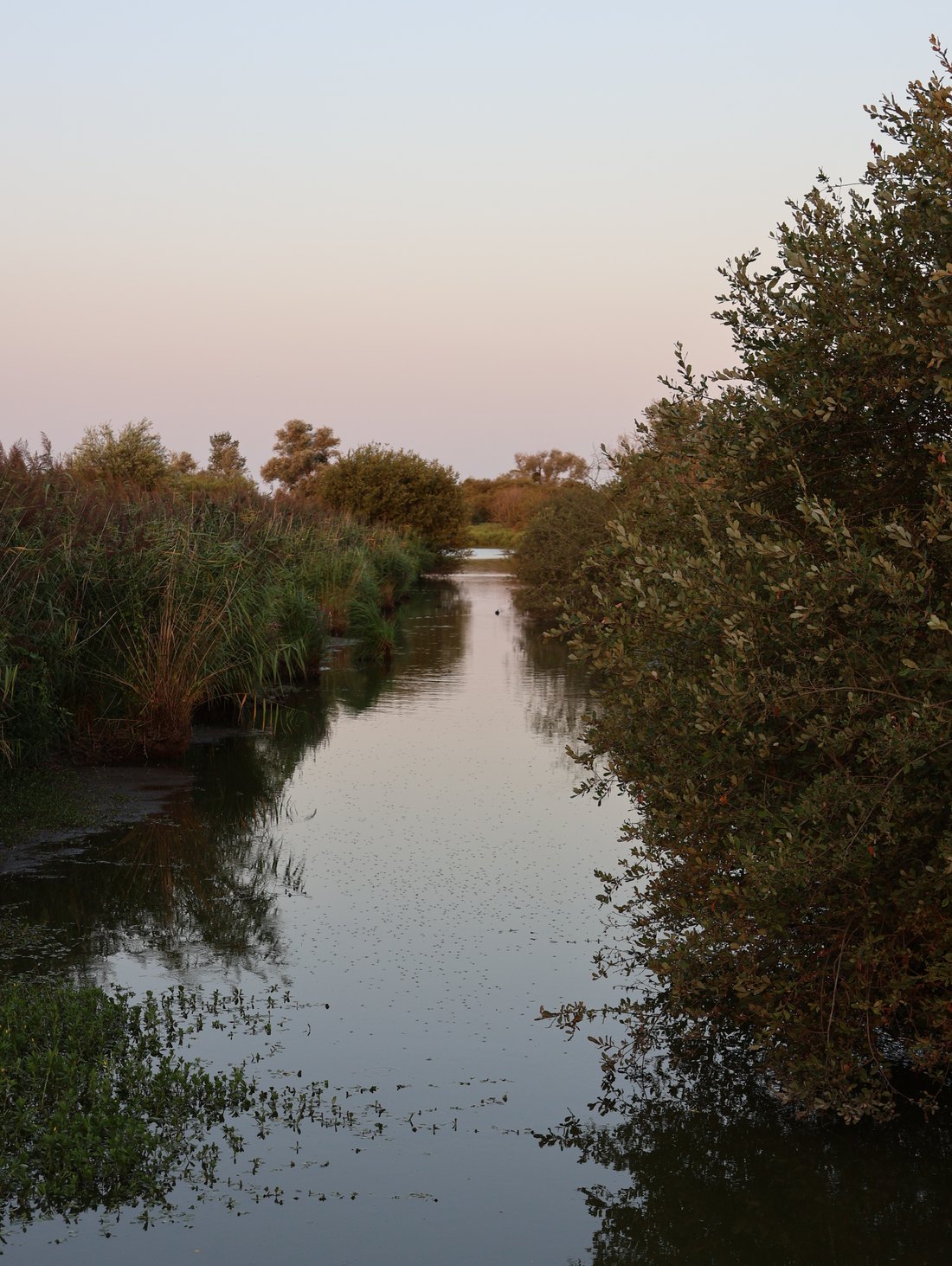 Réveil, photographie 3