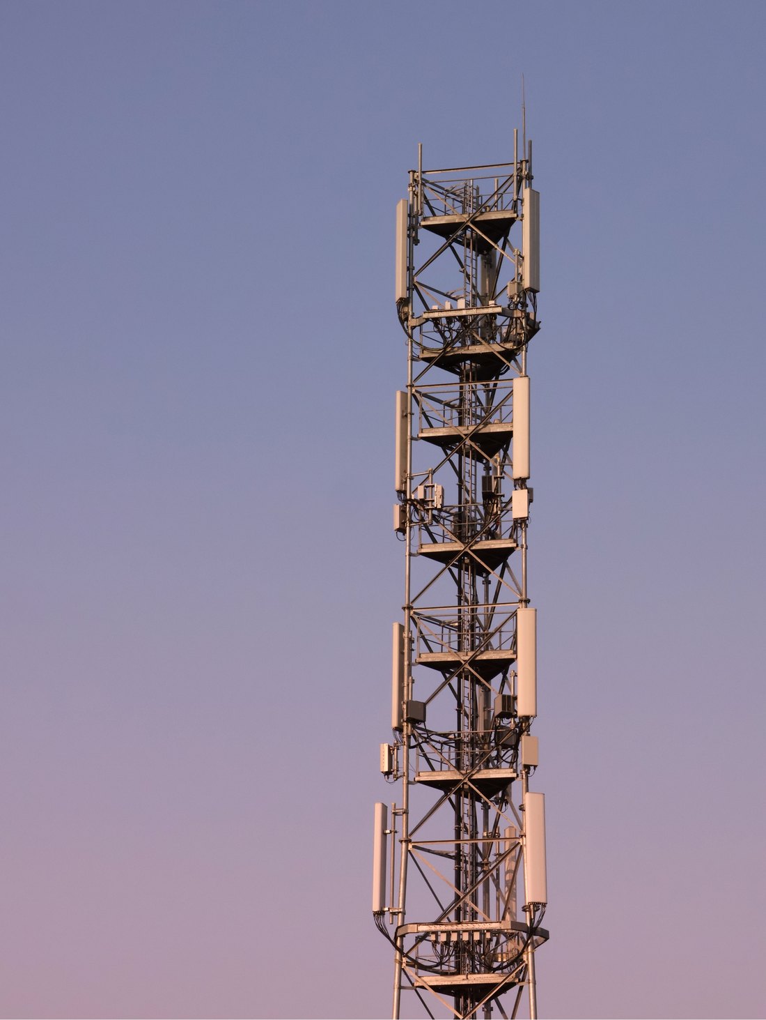 Signal, photographie 1