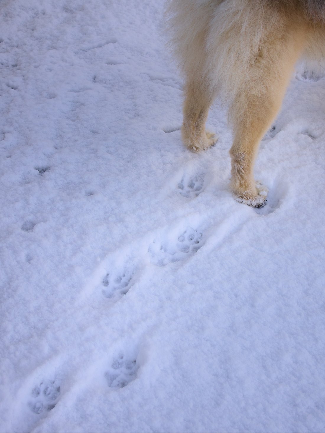Traces, photographie 1