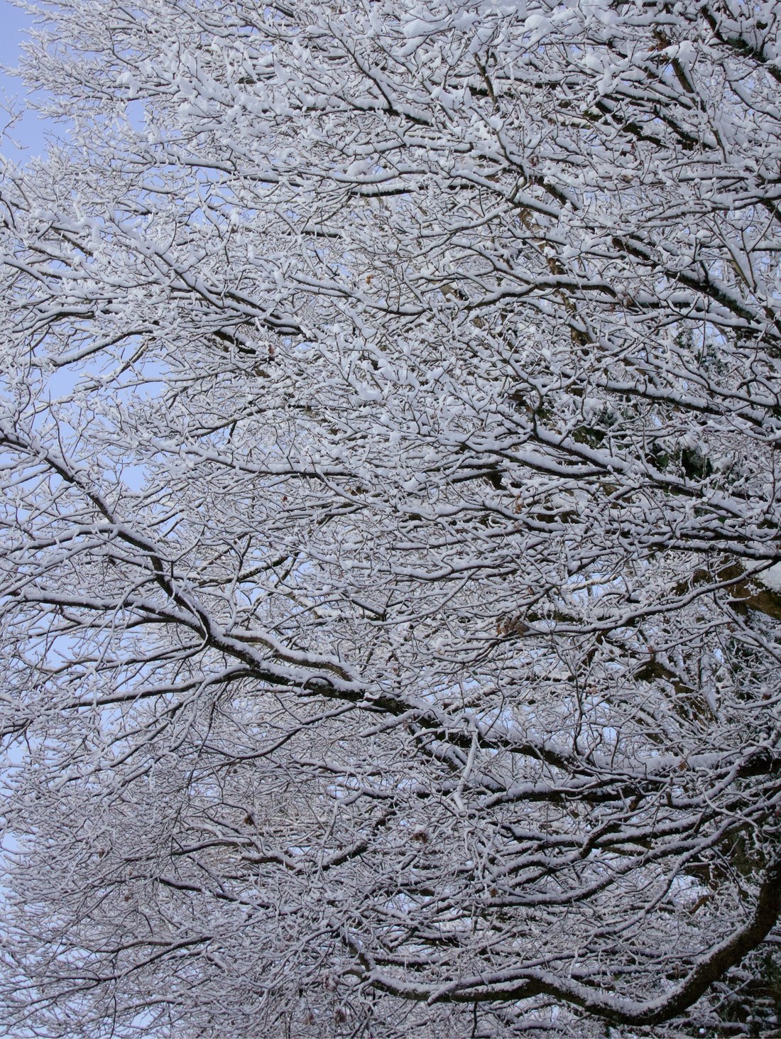 Traces, photographie 4