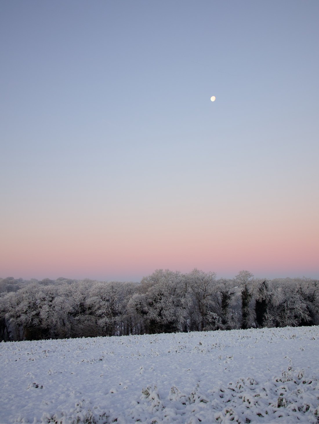 Traces, photographie 6