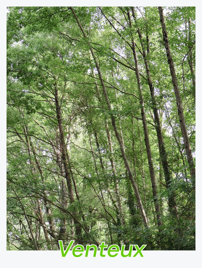 Venteux, couverture de la collection