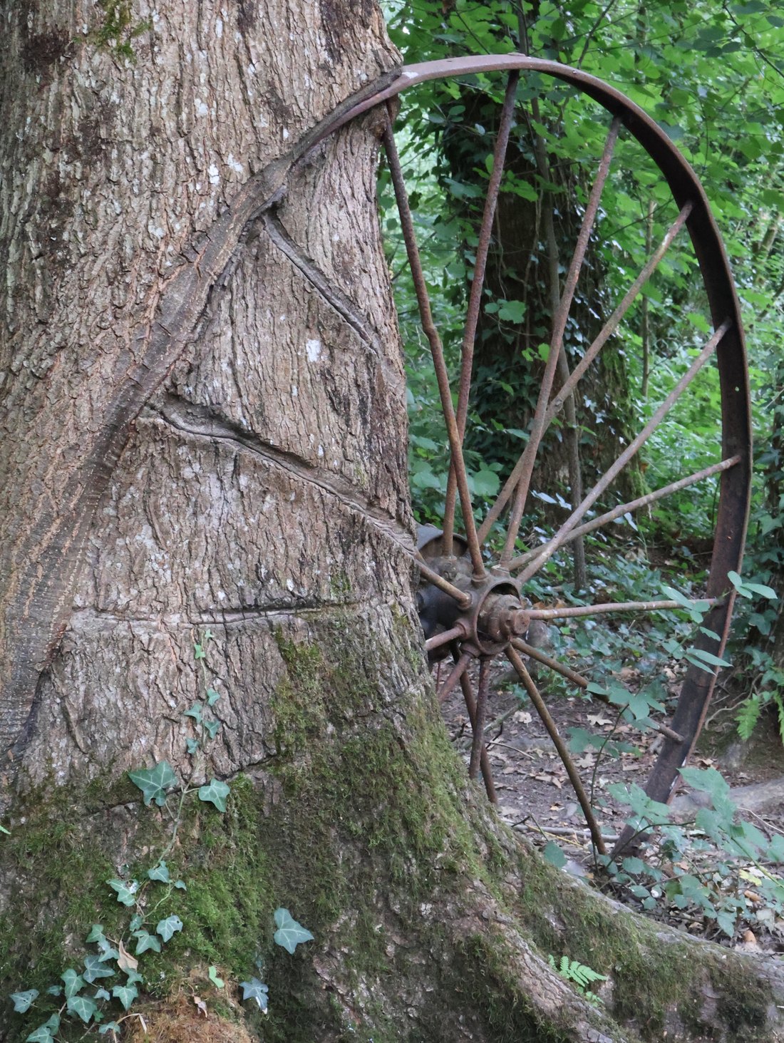 Venteux, photographie 2