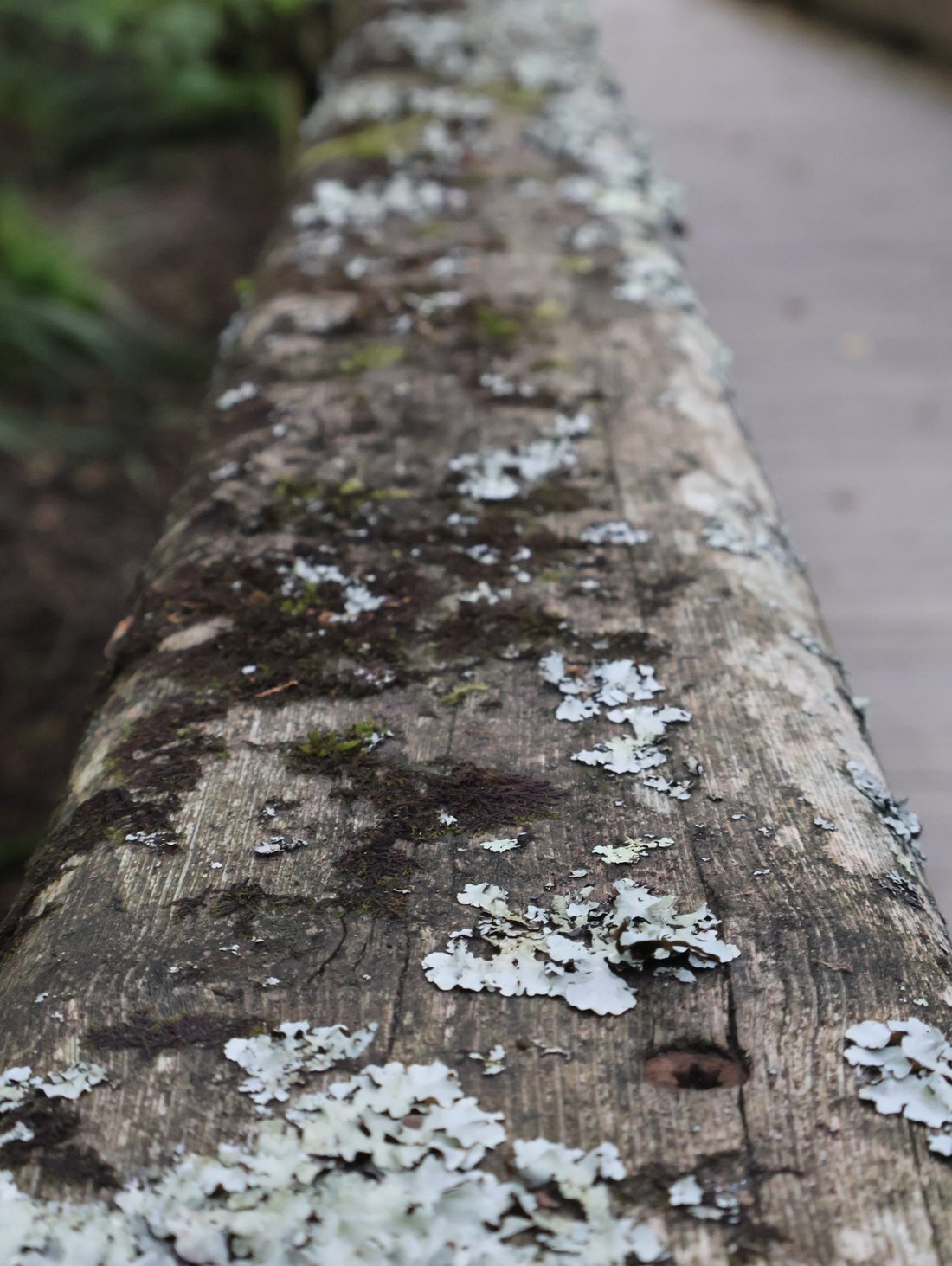 Venteux, photographie 4
